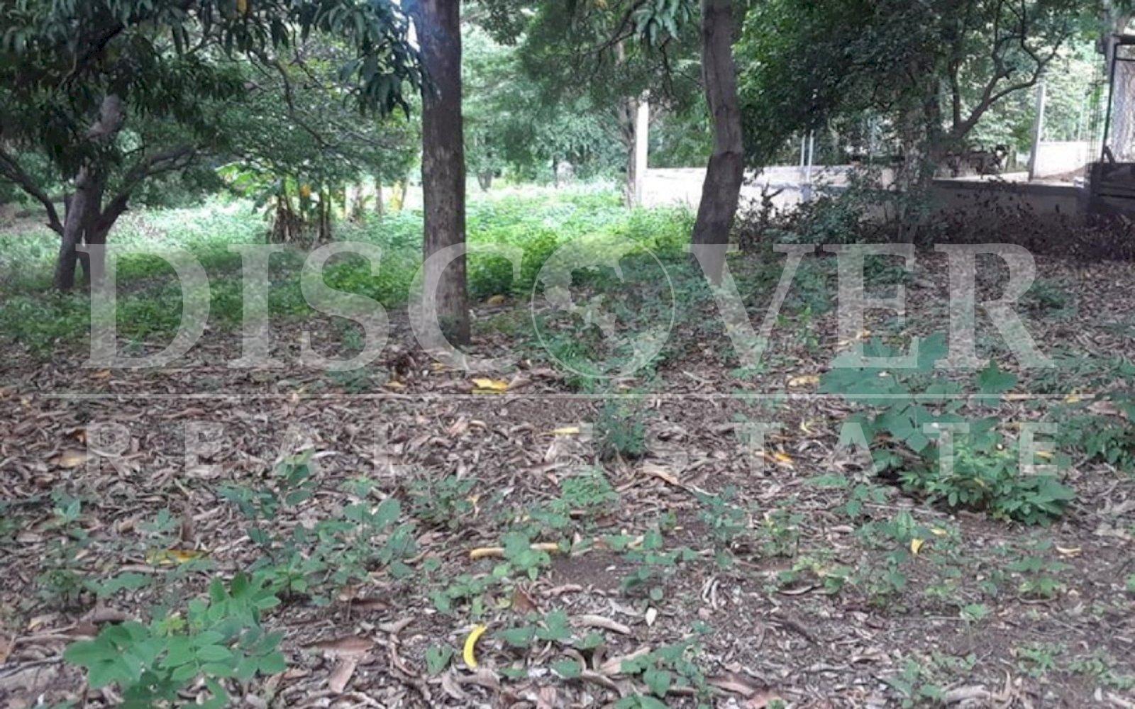https://images.discovernica.com/propiedad/1600/t5.jpg