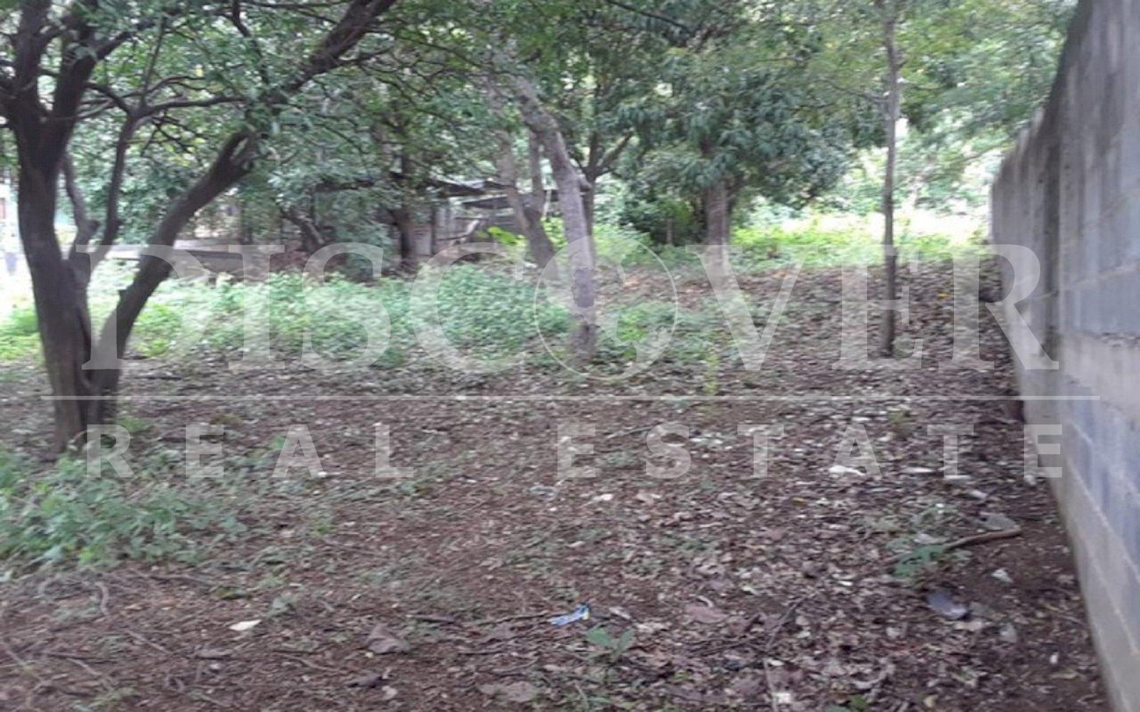 https://images.discovernica.com/propiedad/1600/t7.jpg