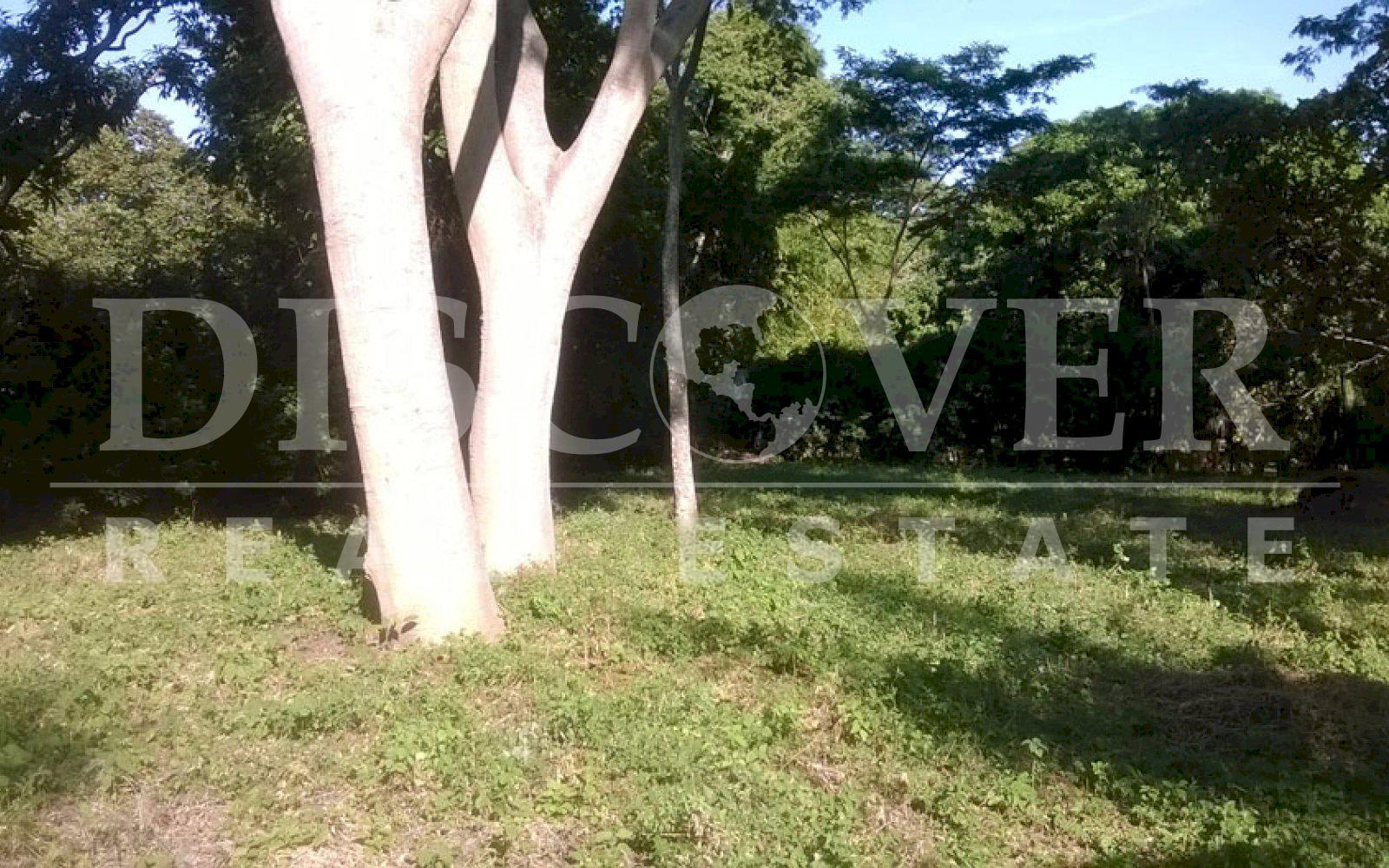 https://images.discovernica.com/propiedad/1600/terreno_a_la_venta_en_carretera_masaya_managua_nicaragua_3_.jpg
