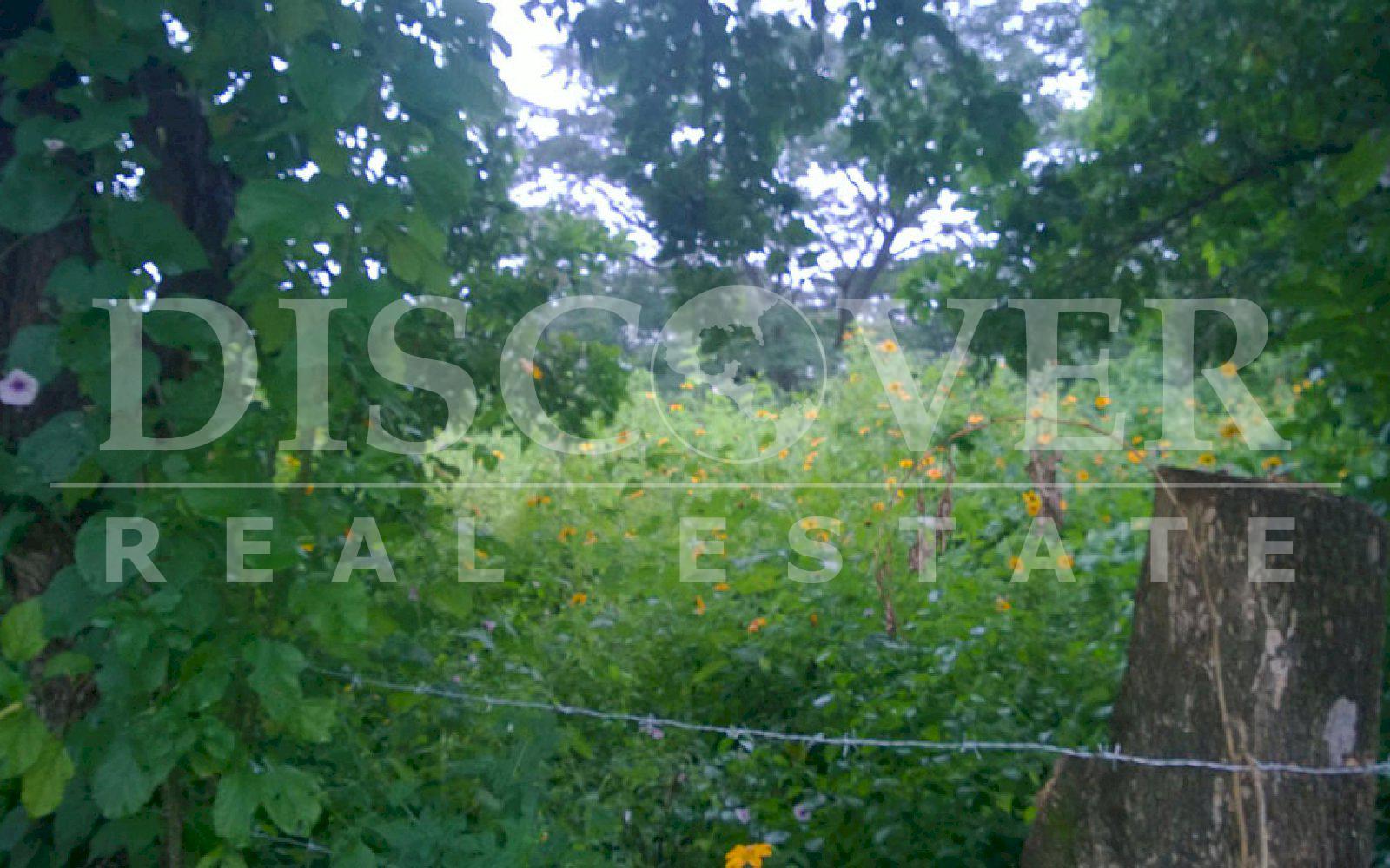 https://images.discovernica.com/propiedad/1600/terreno_a_la_venta_en_carretera_vieja_a_leon_managua_nicaragua_2_.jpg