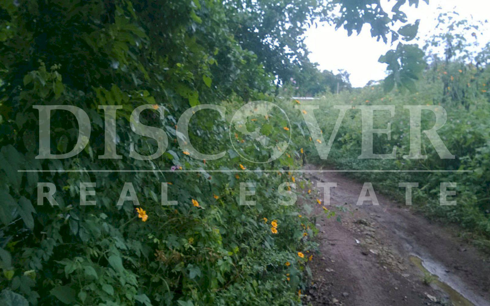 https://images.discovernica.com/propiedad/1600/terreno_a_la_venta_en_carretera_vieja_a_leon_managua_nicaragua_3_.jpg