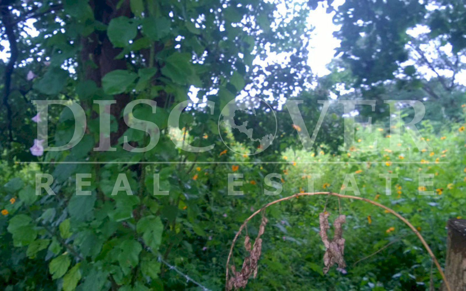 https://images.discovernica.com/propiedad/1600/terreno_a_la_venta_en_carretera_vieja_a_leon_managua_nicaragua_5_.jpg