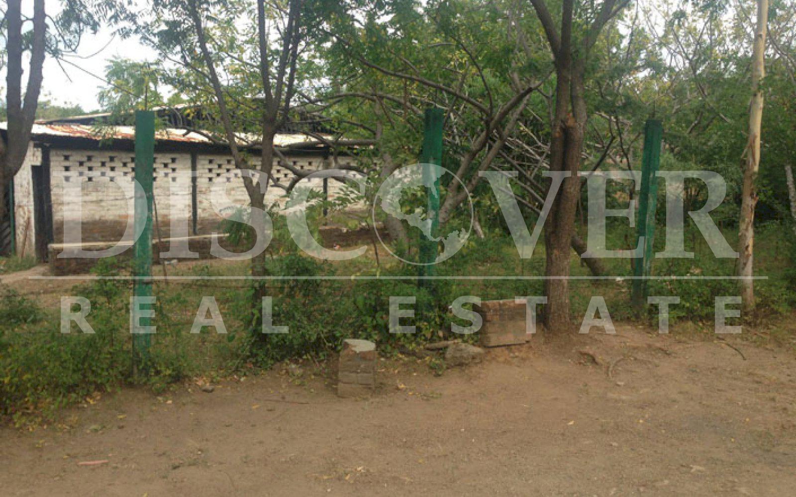 Imagen 1 de la galería
