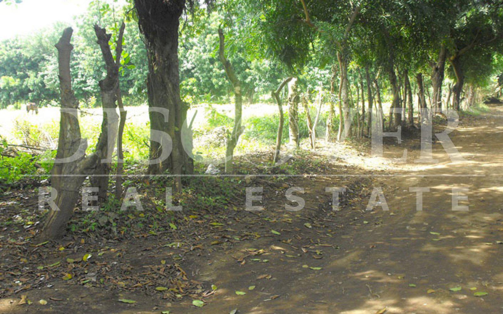 Imagen 5 de la galería