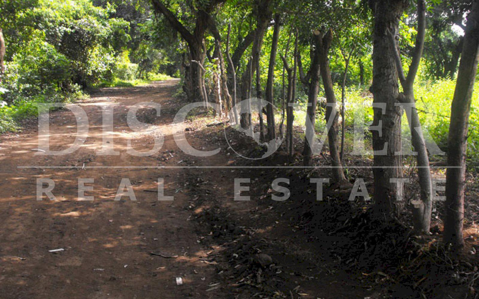 Imagen 9 de la galería