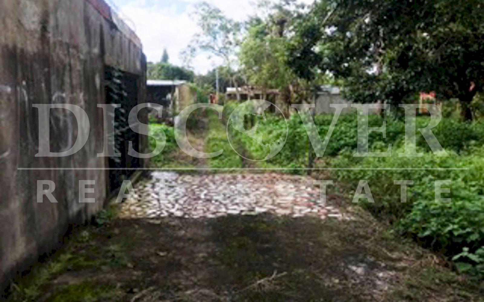 Imagen 13 de la galería