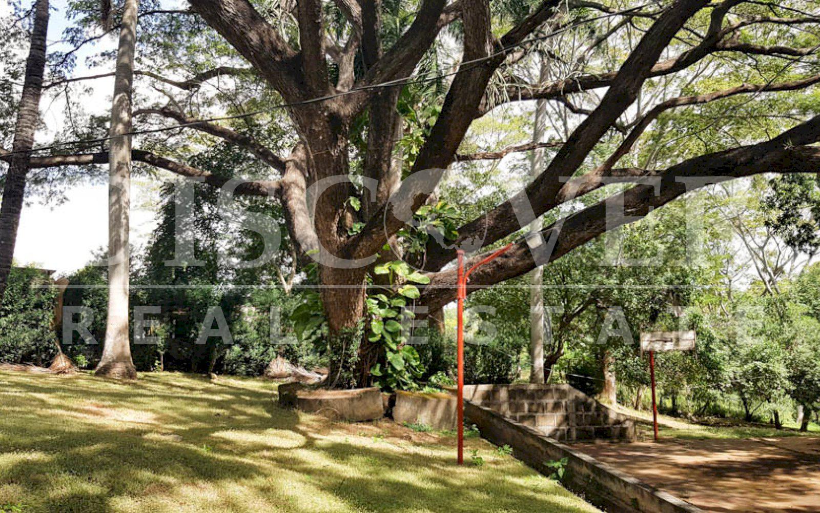 https://images.discovernica.com/propiedad/1600/terreno_en_venta_carretera_masaya_id_10511_12.jpg