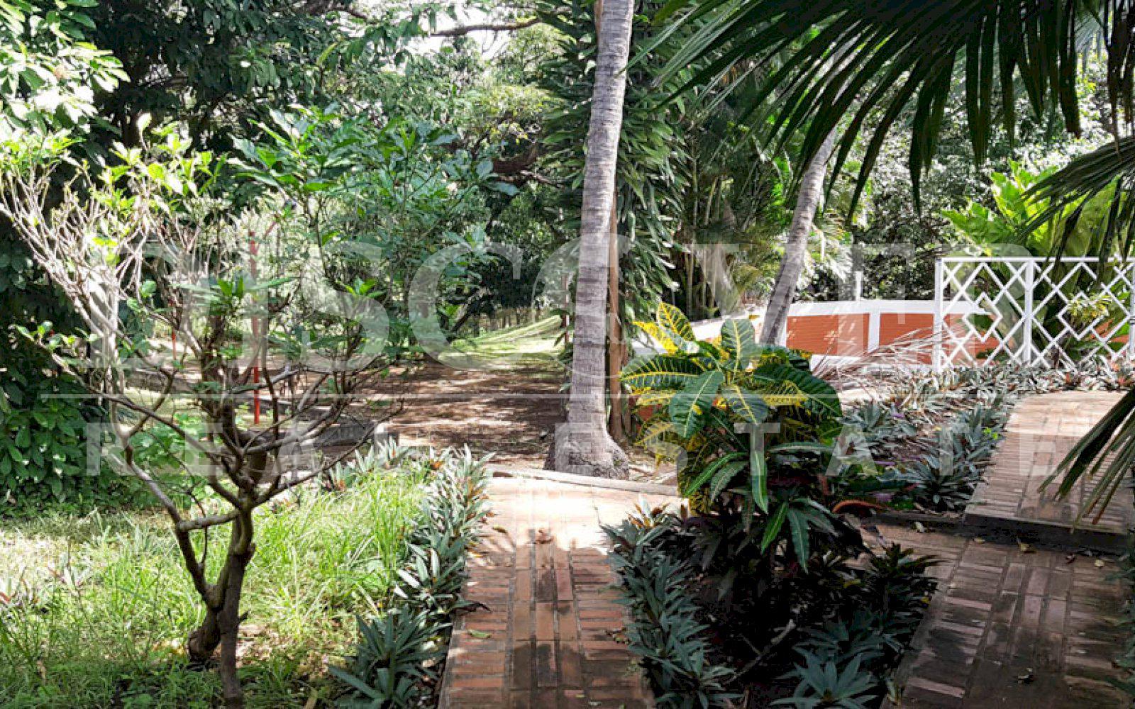 Beautiful country house with land for sale in Las Colinas ID 11109