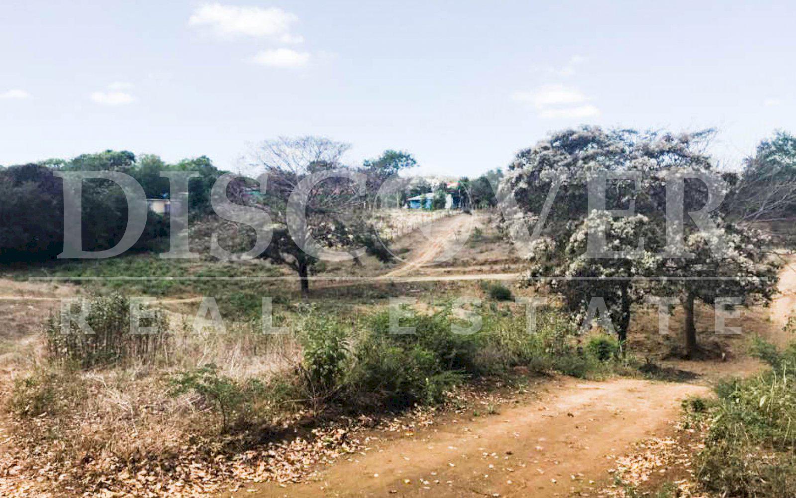 Imagen 5 de la galería