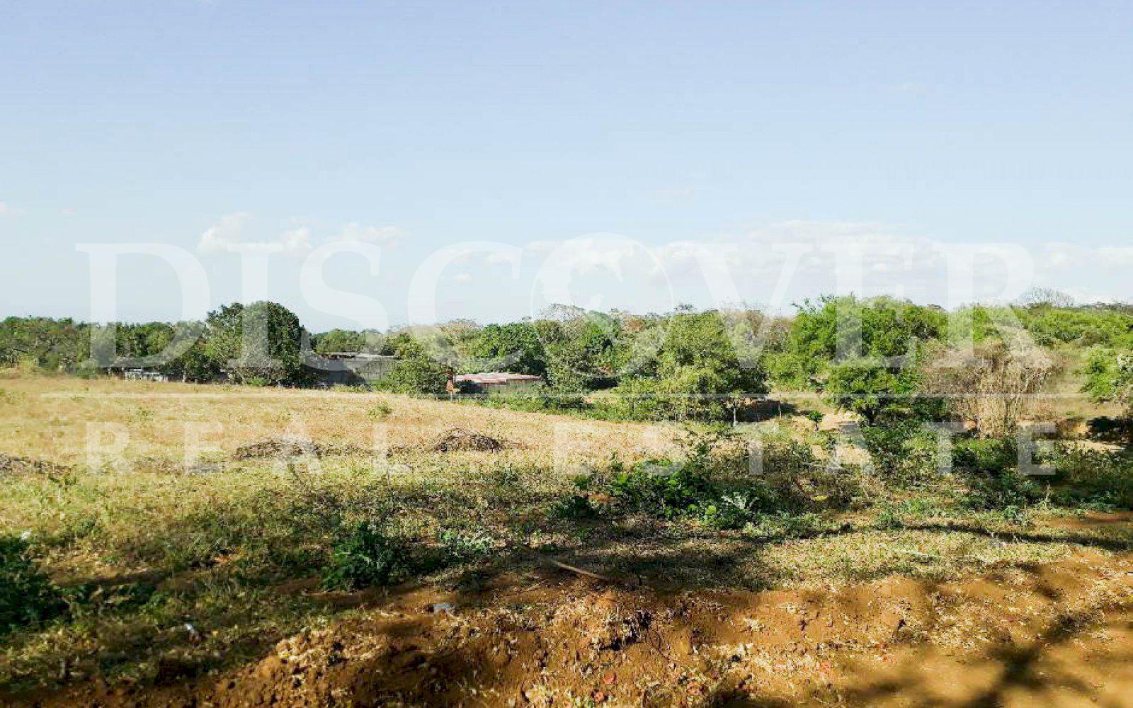 Imagen 4 de la galería
