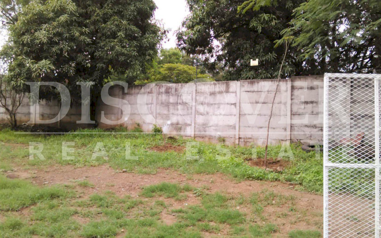 Land for Rent located in Altagracia neighborhood ID 10419