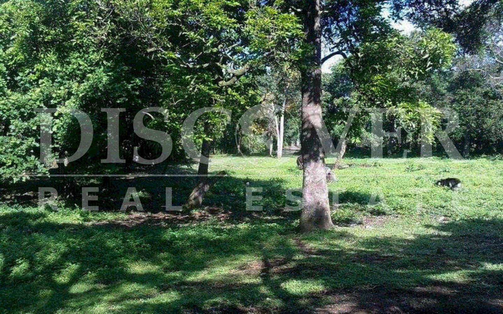  Land of 1.74 acres for Sale located in San Marcos, Carazo ID 10361