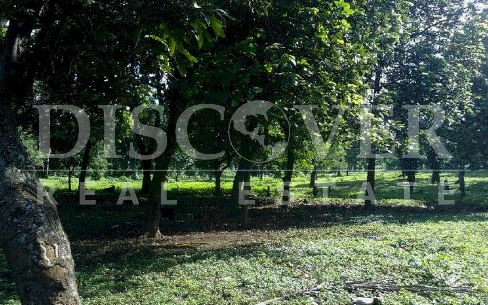  Land of 1.74 acres for Sale located in San Marcos, Carazo ID 10361