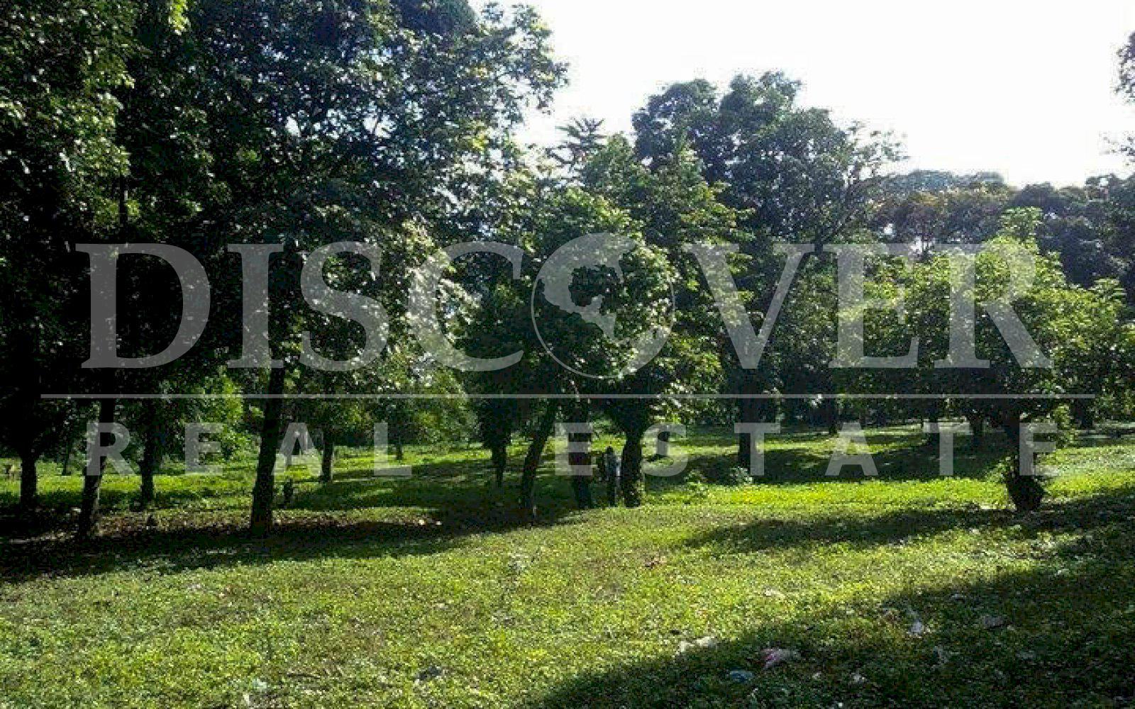  Land of 1.74 acres for Sale located in San Marcos, Carazo ID 10361