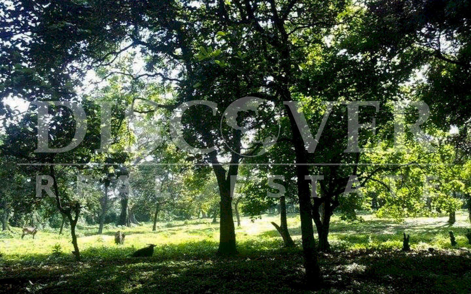  Land of 1.74 acres for Sale located in San Marcos, Carazo ID 10361