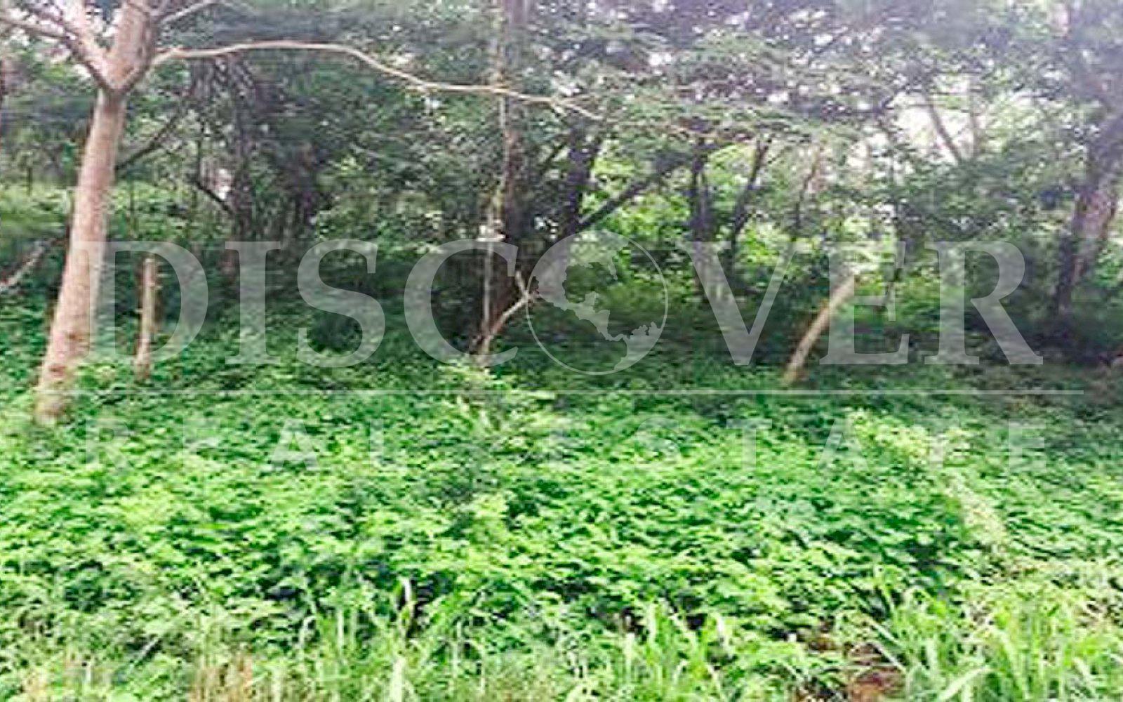 https://images.discovernica.com/propiedad/1600/terreno_venta_altos_villa_fontana_managua_id_10118_1.jpg