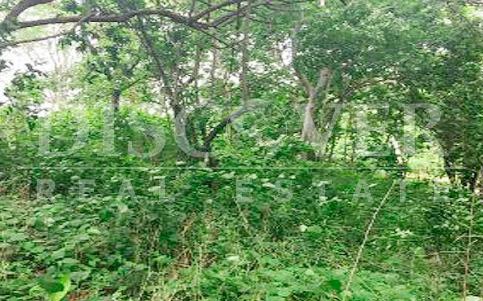 https://images.discovernica.com/propiedad/1600/terreno_venta_altos_villa_fontana_managua_id_10118_4.jpg
