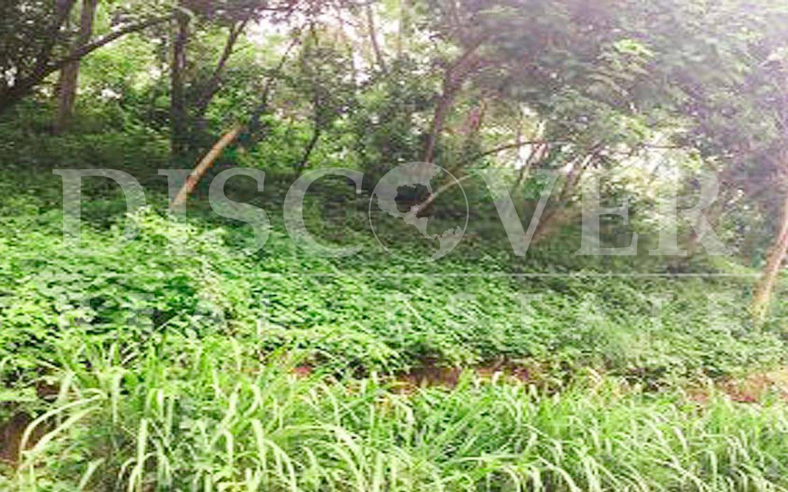https://images.discovernica.com/propiedad/1600/terreno_venta_altos_villa_fontana_managua_id_10118_6.jpg
