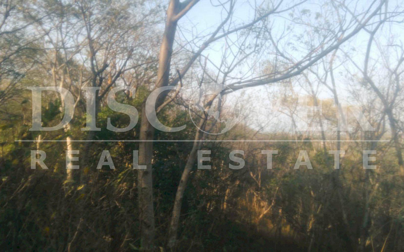 https://images.discovernica.com/propiedad/1600/terreno_venta_camino_intermezzo_del_bosque_id_10582_2.jpg