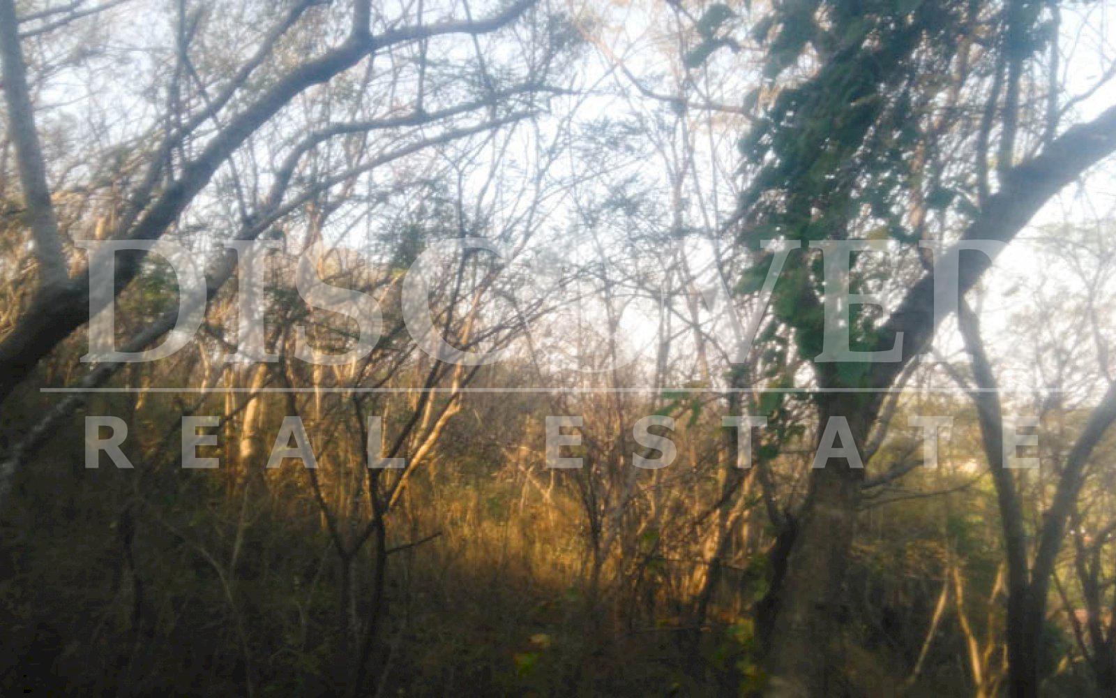 https://images.discovernica.com/propiedad/1600/terreno_venta_camino_intermezzo_del_bosque_id_10582_3.jpg