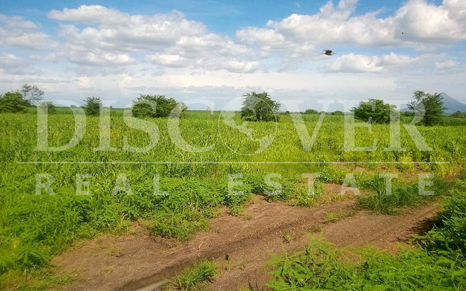 https://images.discovernica.com/propiedad/1600/terreno_venta_carretera_malpaisillo_san_isidro_id_10129_4.jpg