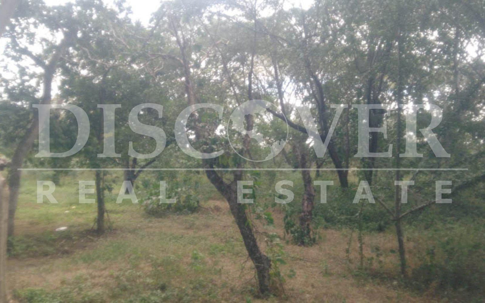 Imagen 7 de la galería