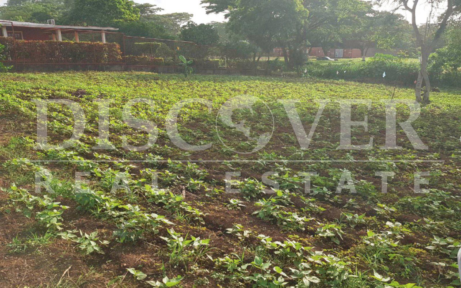 Flat Land for Sale located in Masaya Road ID 11014