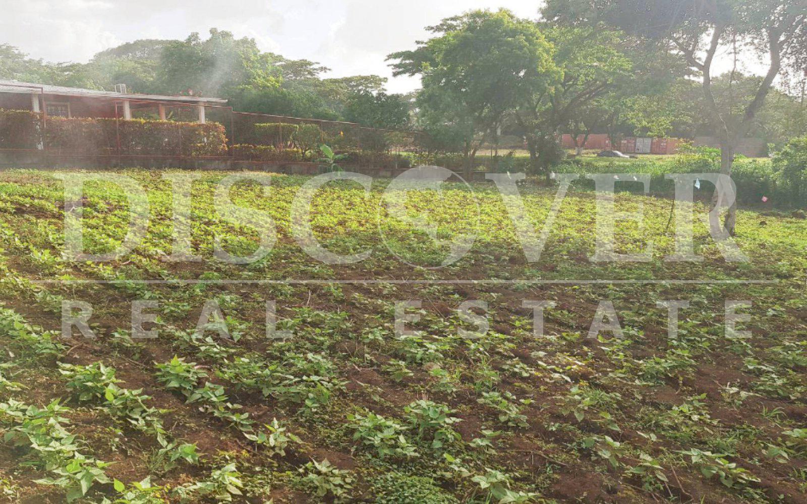 Flat Land for Sale located in Masaya Road ID 11014