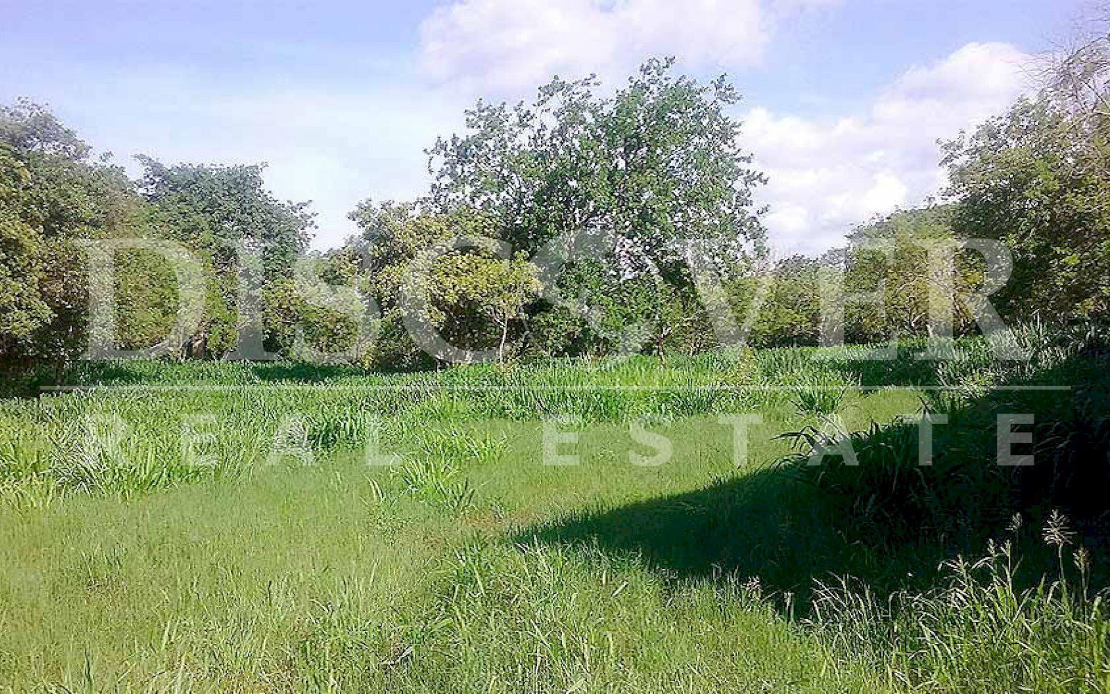  Flat Land for Sale in Masaya Highway ID 10002