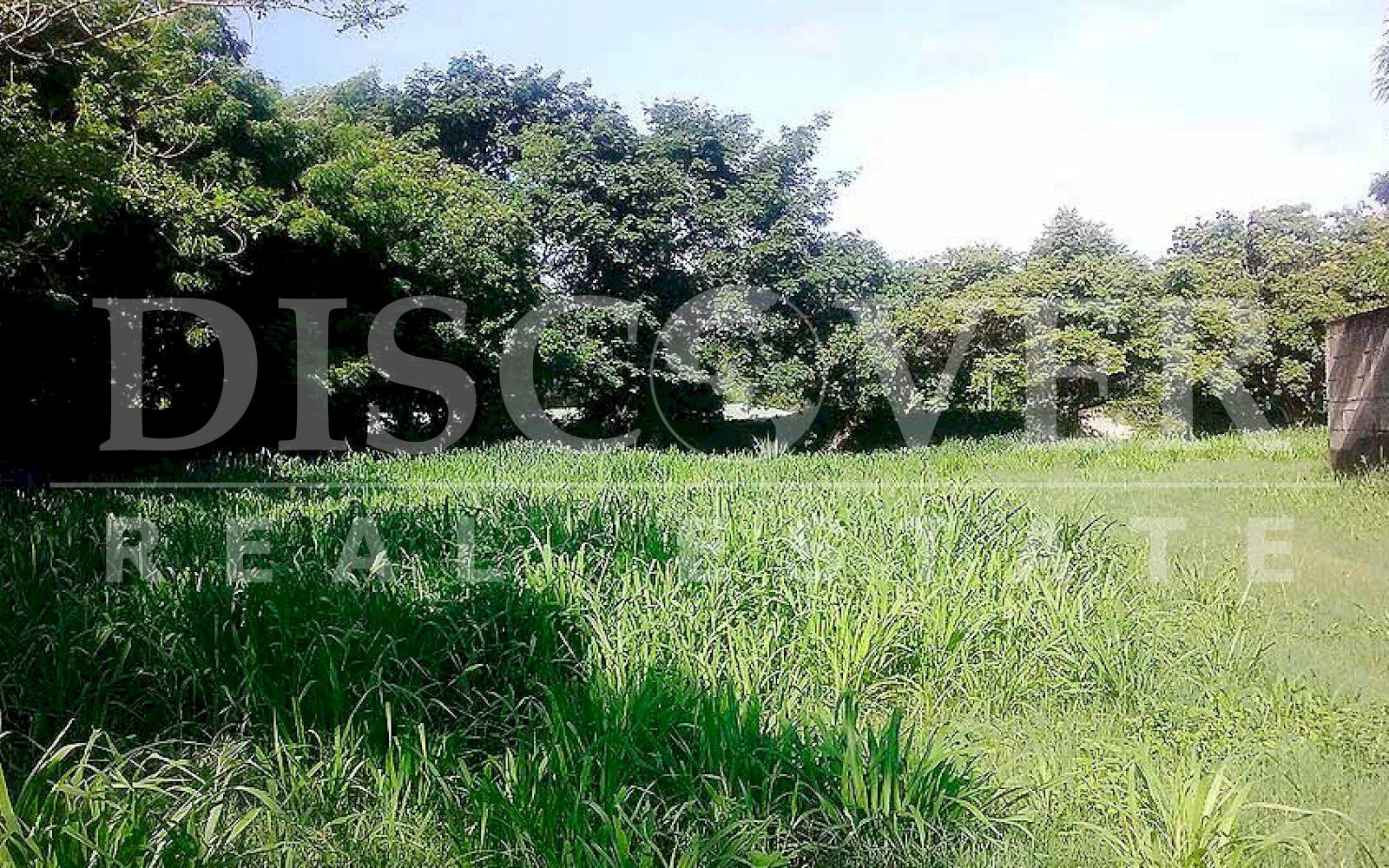  Flat Land for Sale in Masaya Highway ID 10002