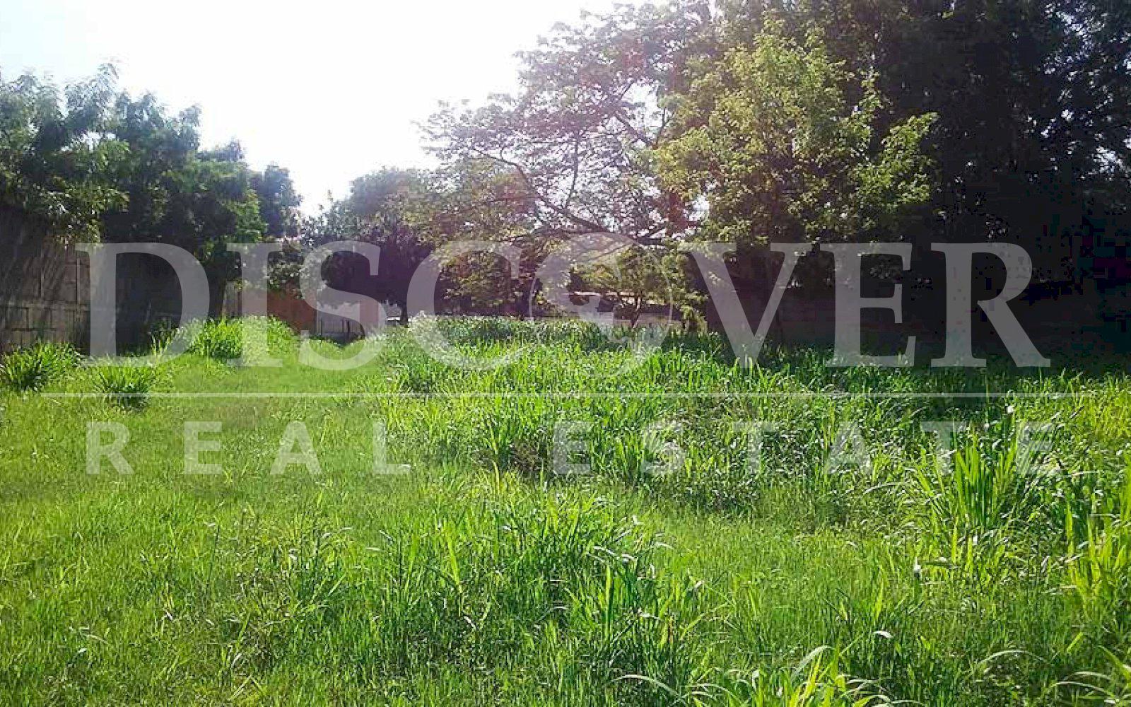  Flat Land for Sale in Masaya Highway ID 10002