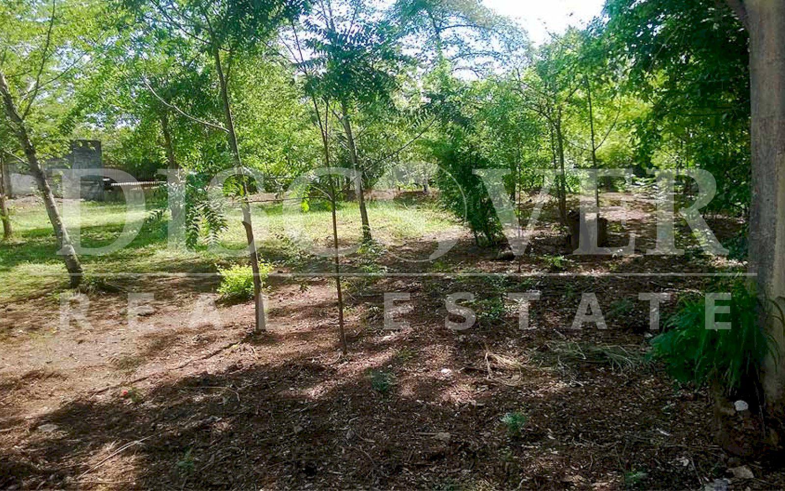  Land for Sale at Masaya Highway ID 10029