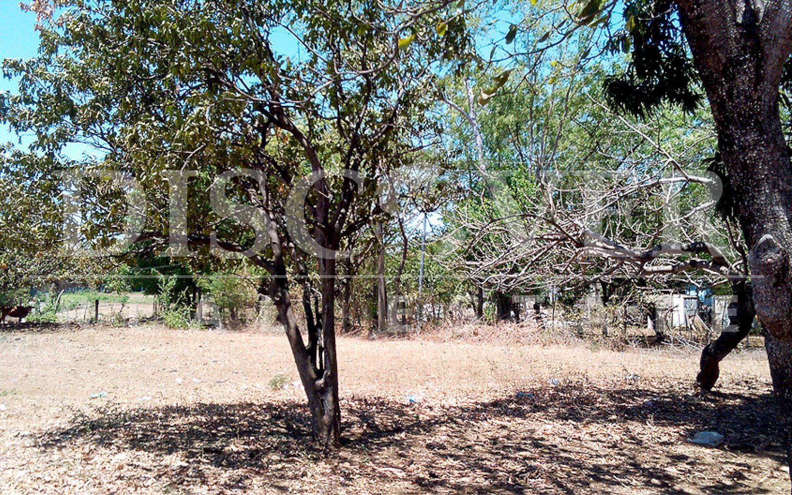 Land for Sale in Masaya Highway ID 9783