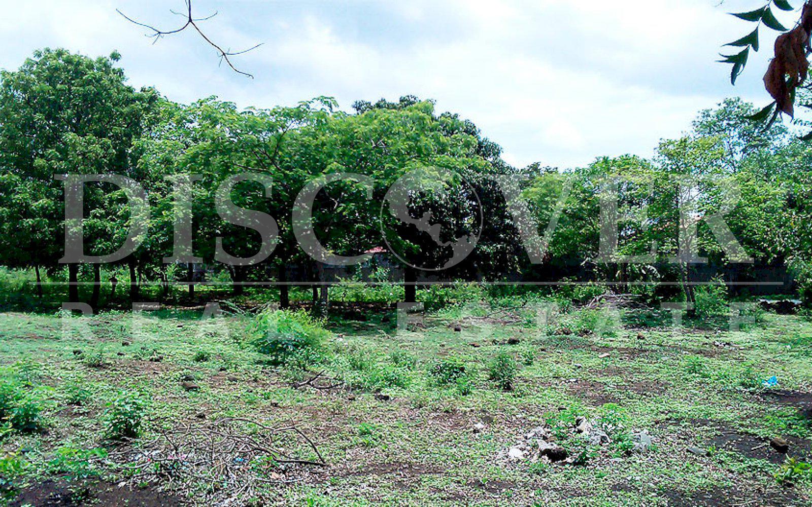 Imagen 4 de la galería