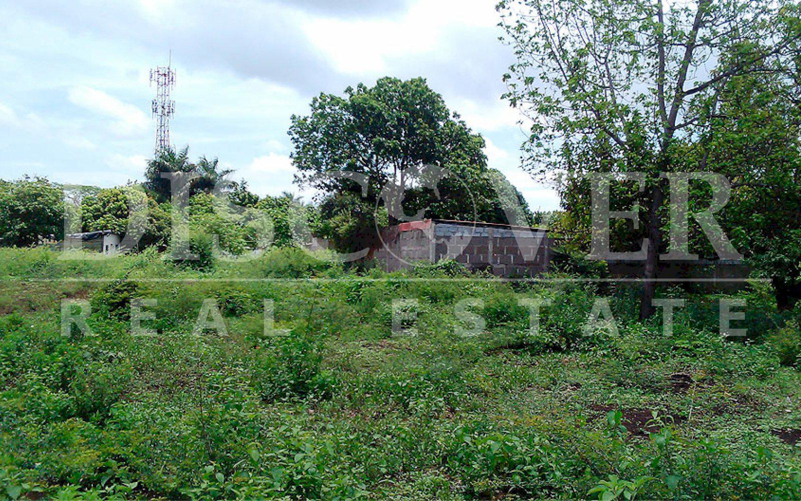 Imagen 3 de la galería