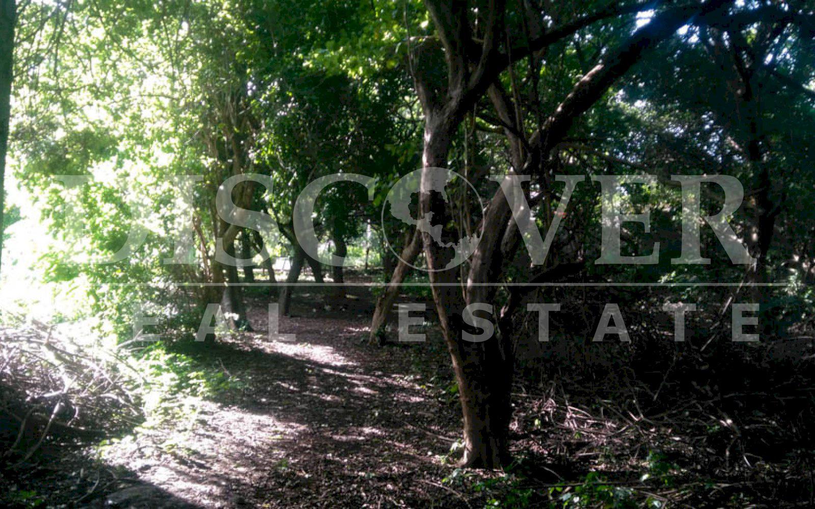 Imagen 5 de la galería