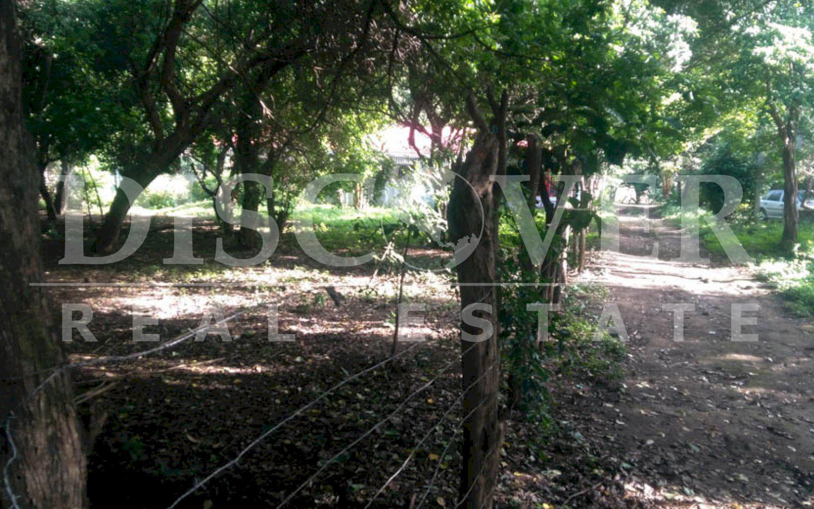 Imagen 3 de la galería