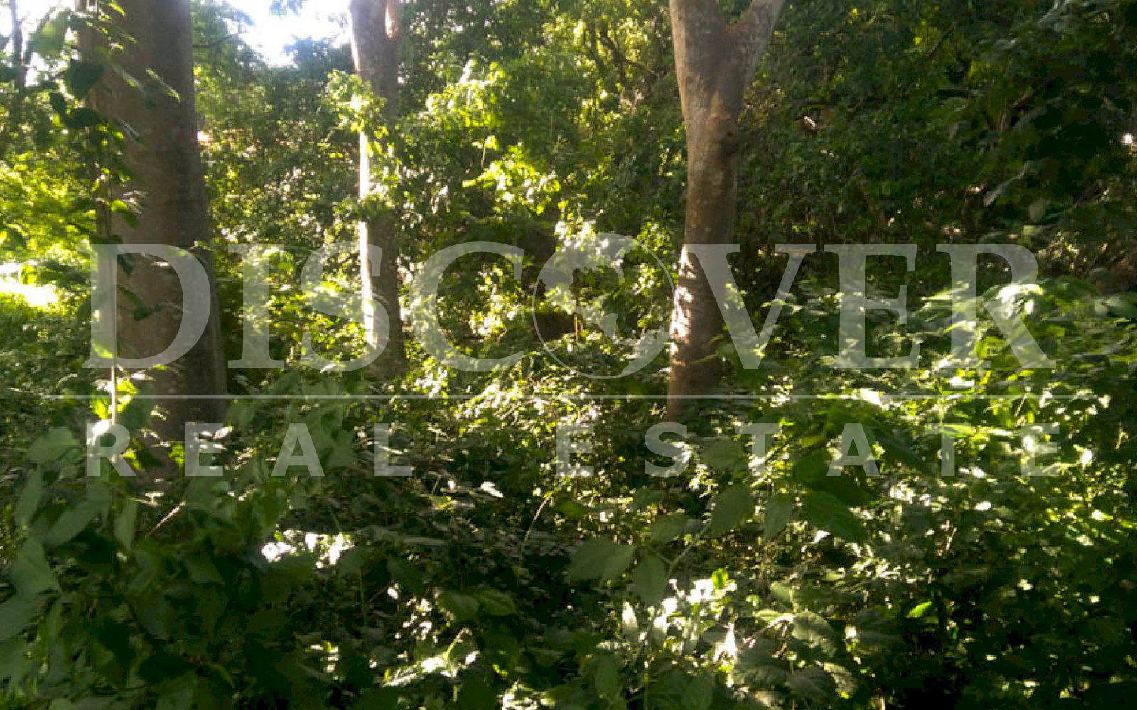 https://images.discovernica.com/propiedad/1600/terreno_venta_carretera_masaya_managua_nicaragua_1_356_vrs2_U_29_832_2.jpg