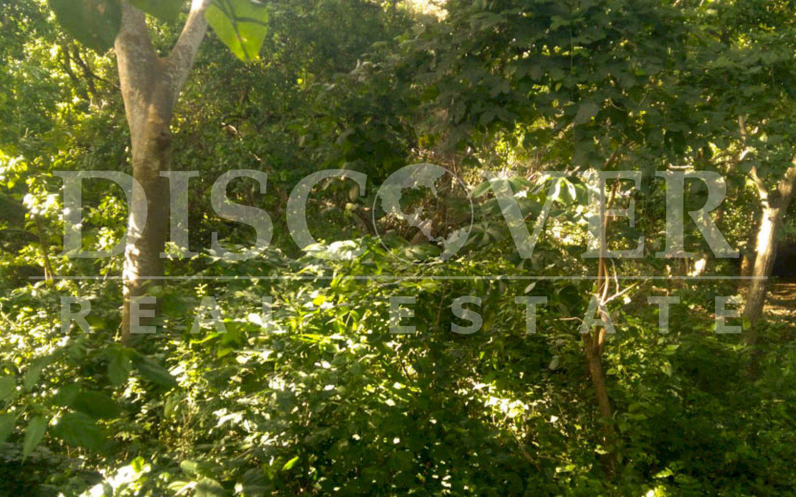 https://images.discovernica.com/propiedad/1600/terreno_venta_carretera_masaya_managua_nicaragua_1_356_vrs2_U_29_832_3.jpg