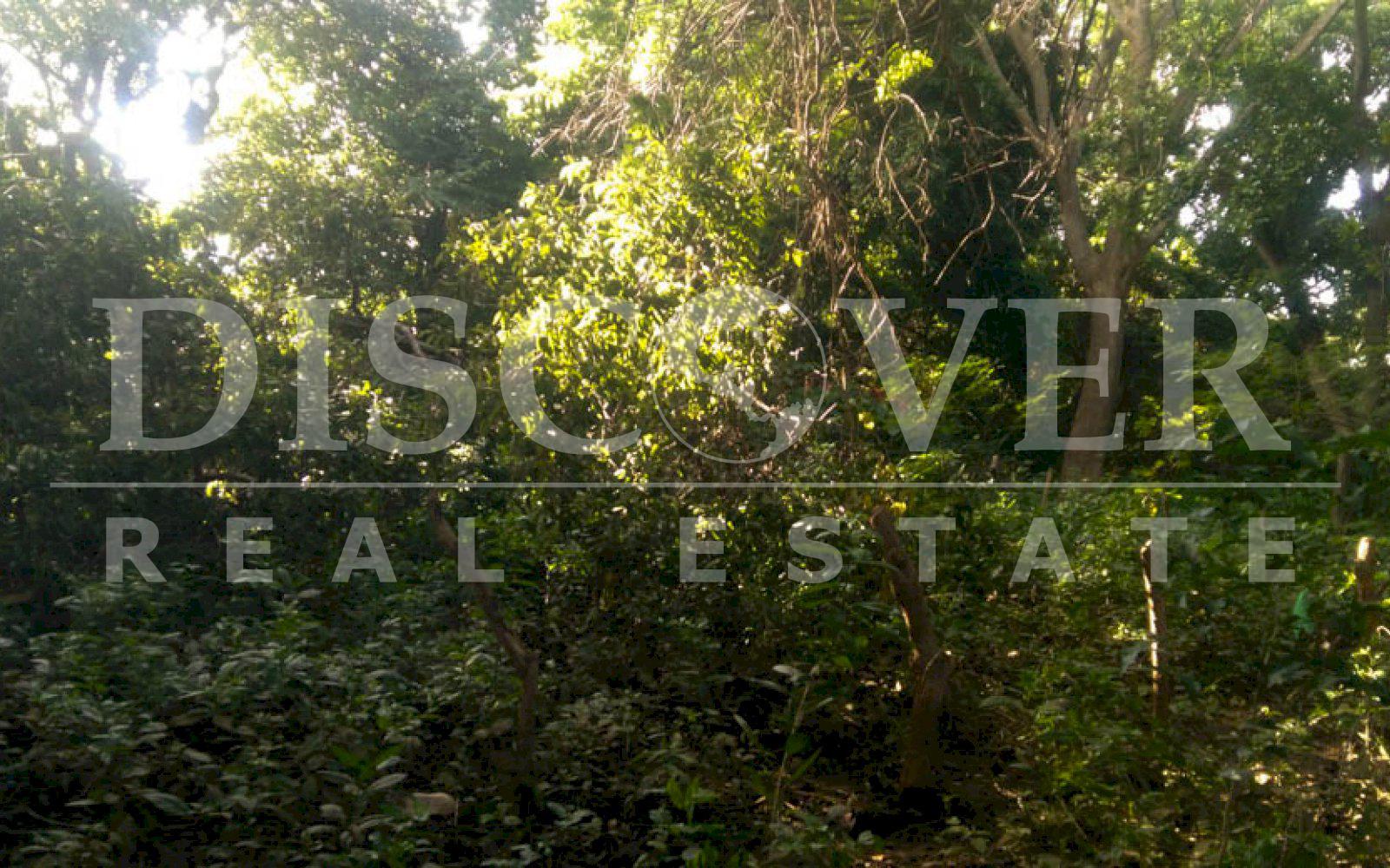 https://images.discovernica.com/propiedad/1600/terreno_venta_carretera_masaya_managua_nicaragua_1_356_vrs2_U_29_832_5.jpg