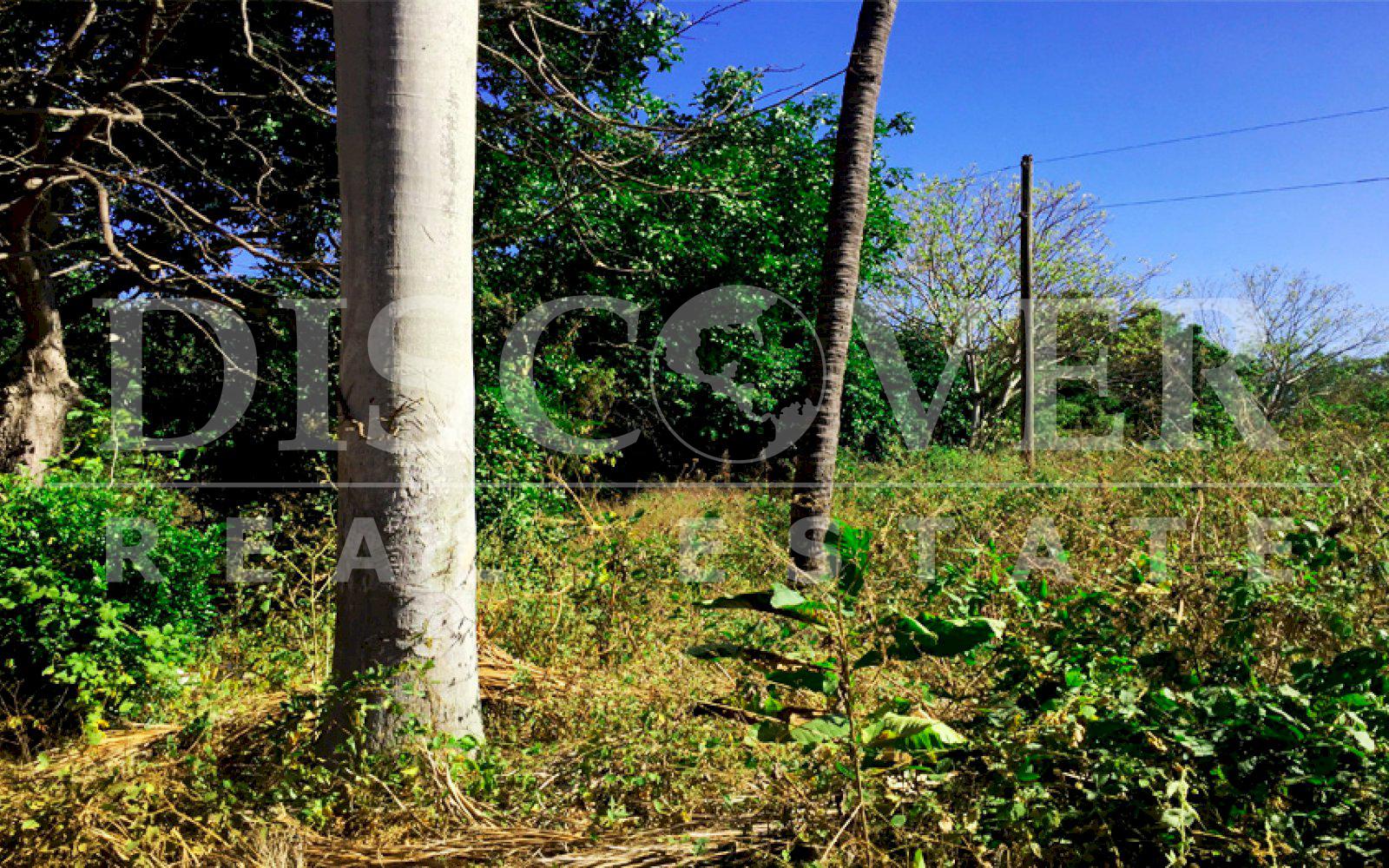 Imagen 4 de la galería