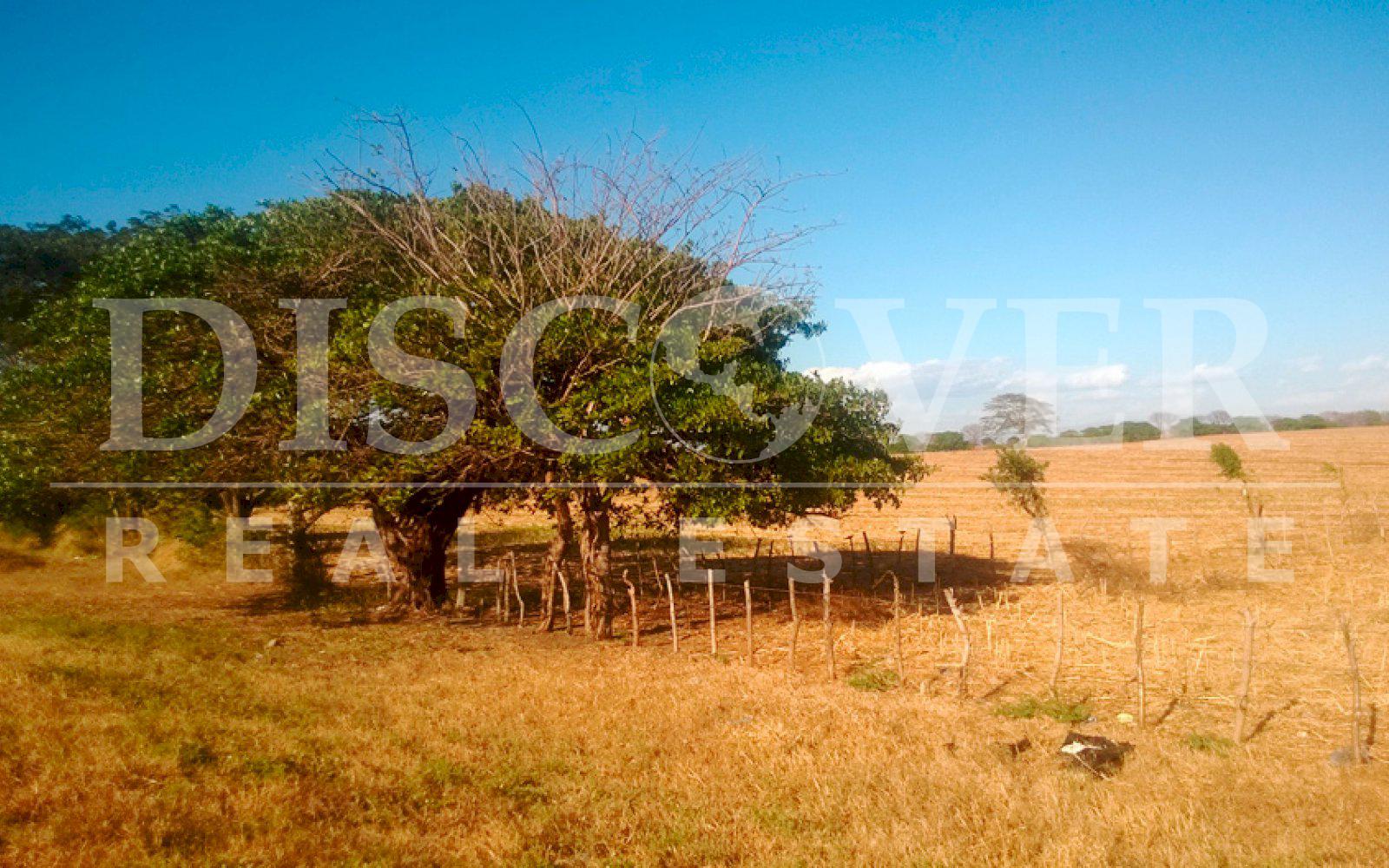 https://images.discovernica.com/propiedad/1600/terreno_venta_carretera_masaya_tipitapa_id_9822_3.jpg