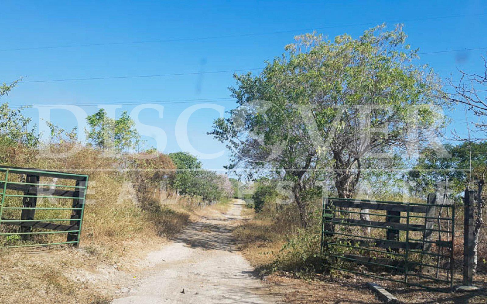 https://images.discovernica.com/propiedad/1600/terreno_venta_carretera_nagarote_id_10616_2.jpg