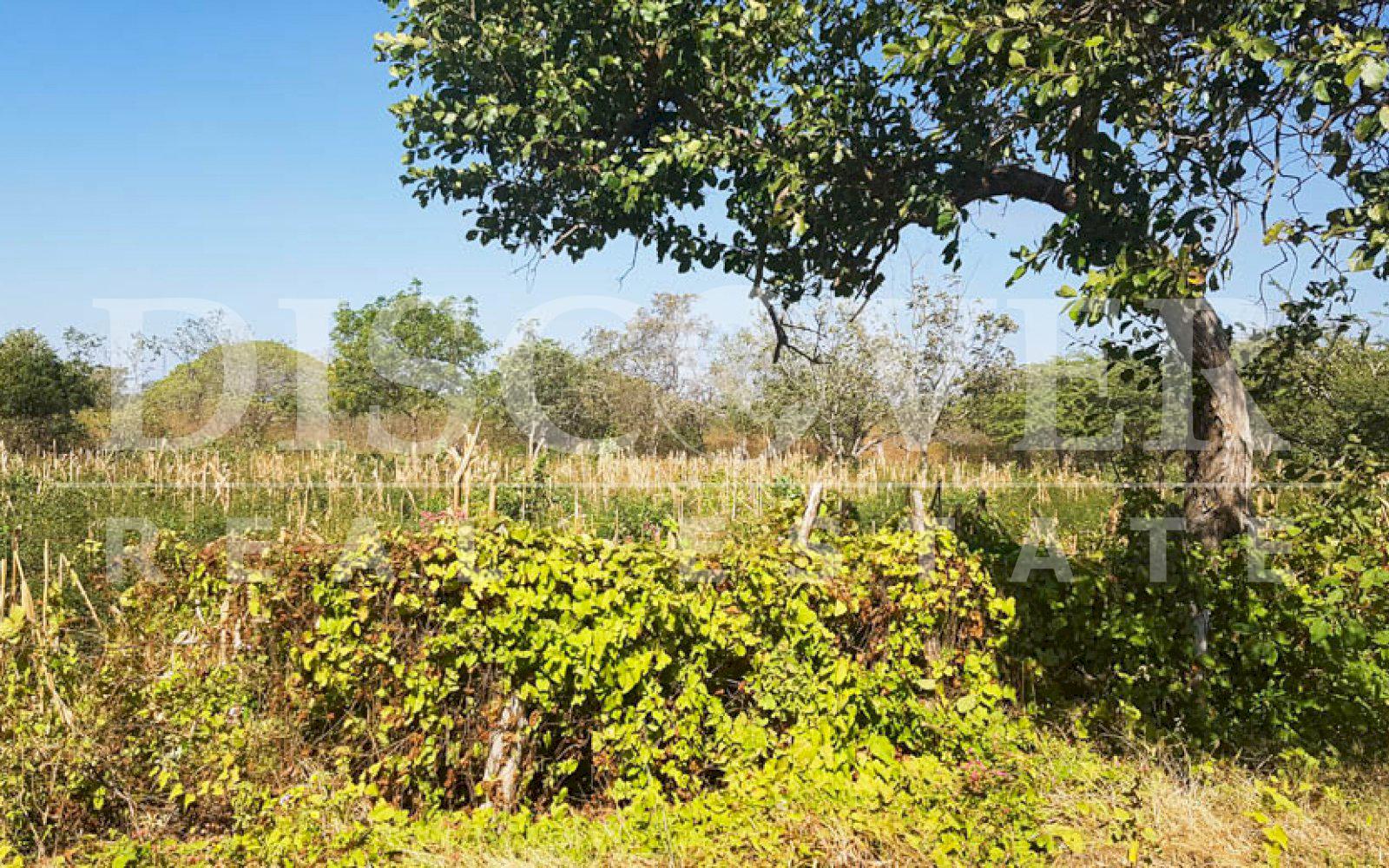 https://images.discovernica.com/propiedad/1600/terreno_venta_carretera_nagarote_id_10616_5.jpg