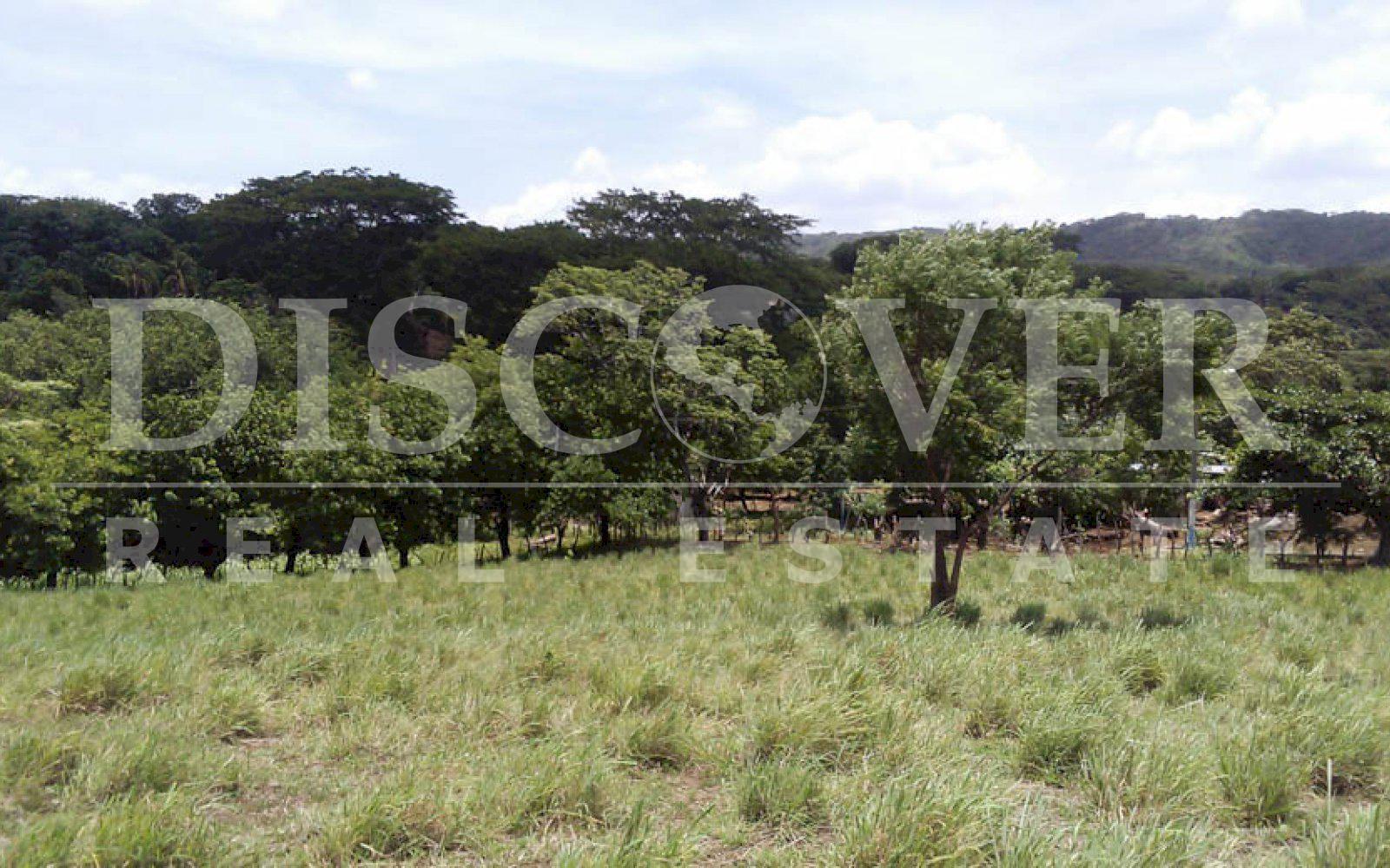 Imagen 4 de la galería