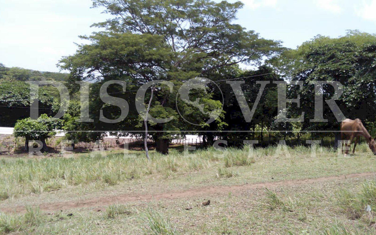 Imagen 5 de la galería