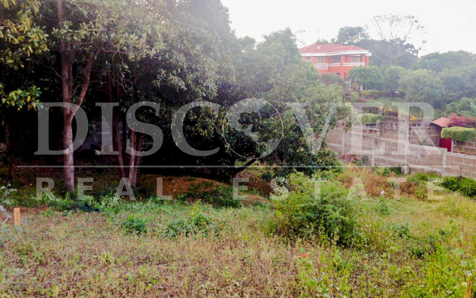https://images.discovernica.com/propiedad/1600/terreno_venta_carretera_sur_topografia_plana_y_ondulada_ID_11498.jpg