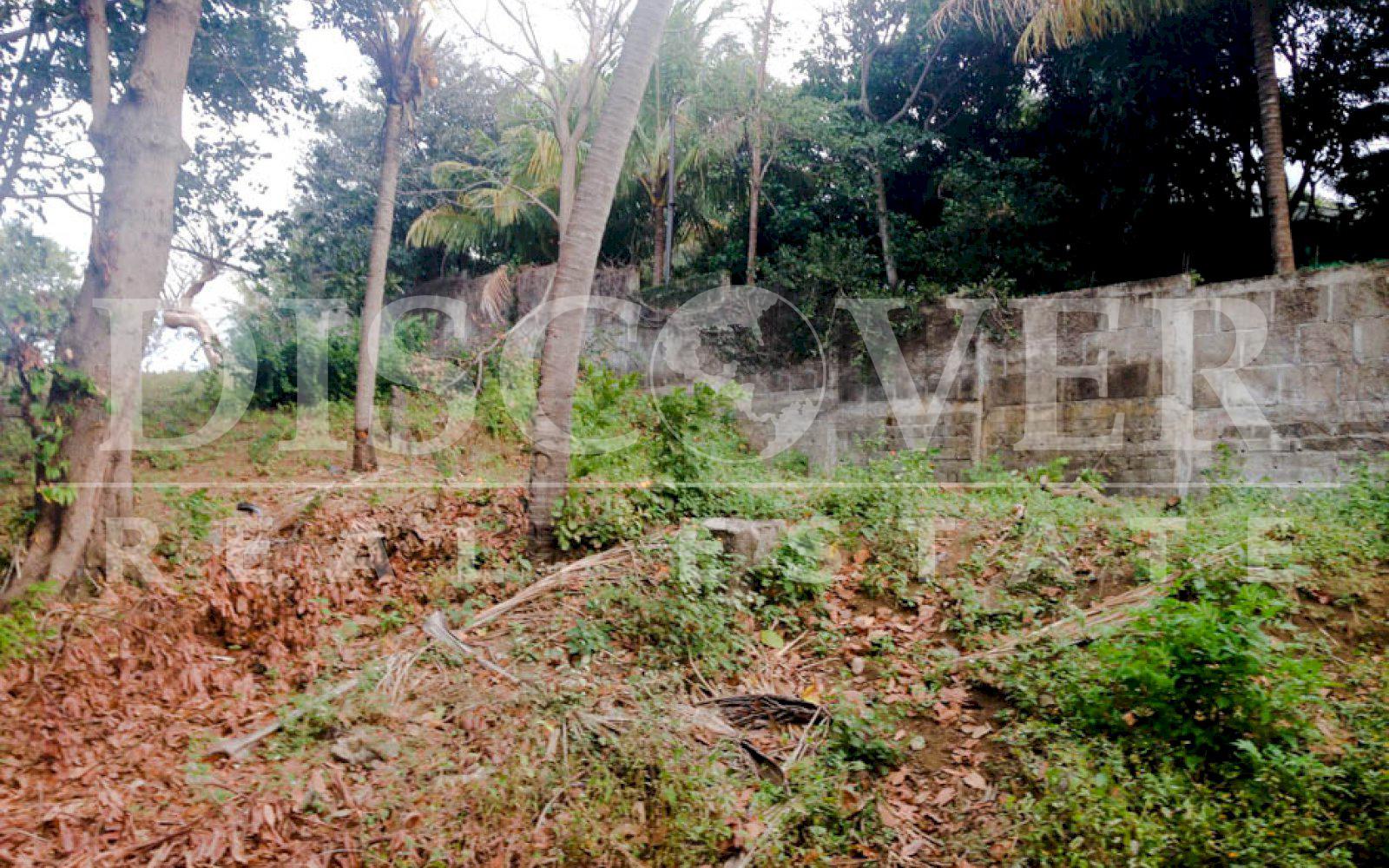 https://images.discovernica.com/propiedad/1600/terreno_venta_carretera_sur_topografia_plana_y_ondulada_ID_11498_2.jpg