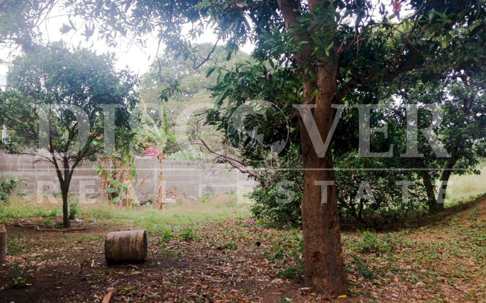 https://images.discovernica.com/propiedad/1600/terreno_venta_carretera_sur_topografia_plana_y_ondulada_ID_11498_3.jpg