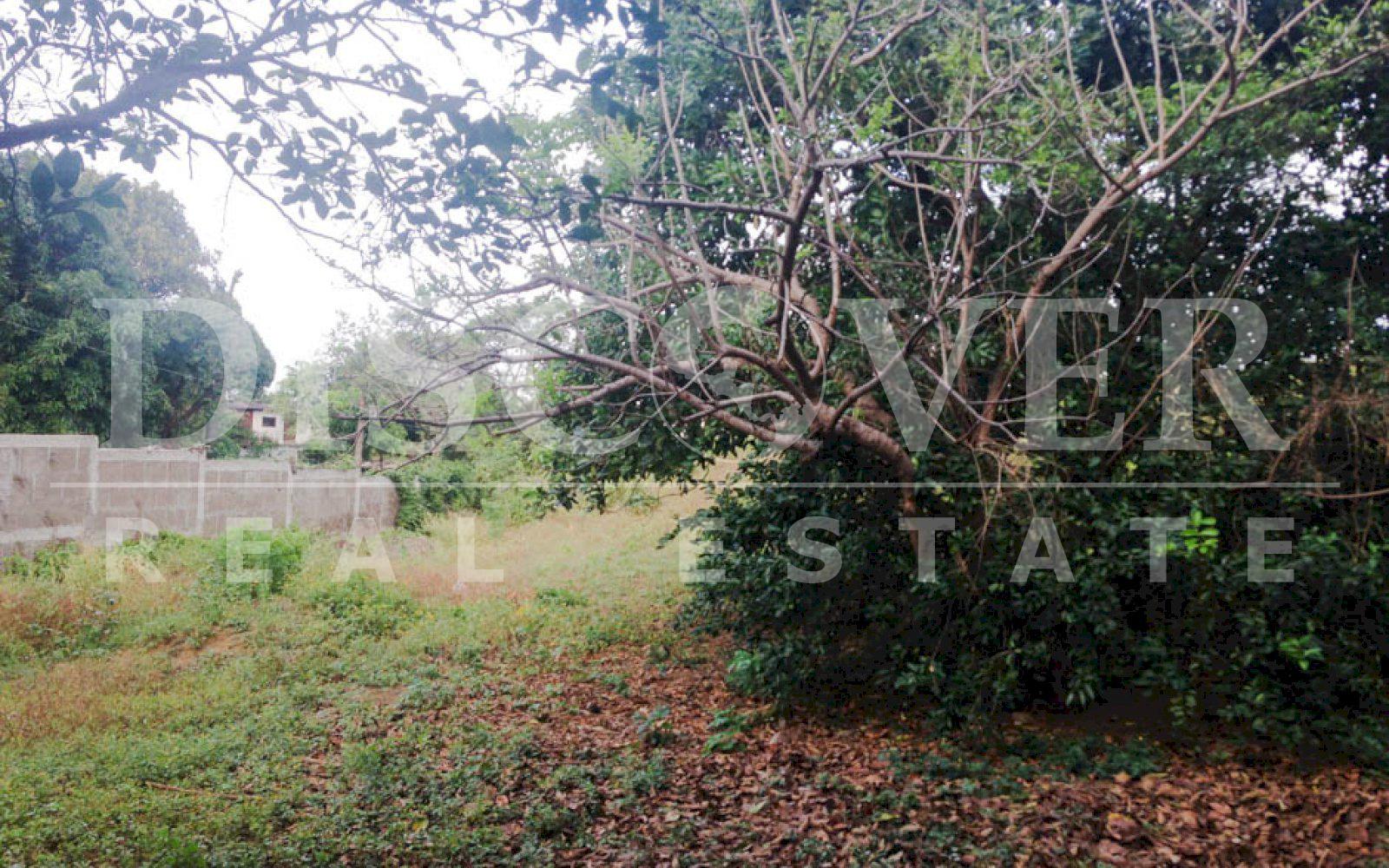 https://images.discovernica.com/propiedad/1600/terreno_venta_carretera_sur_topografia_plana_y_ondulada_ID_11498_4.jpg